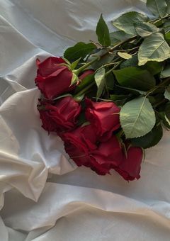 赤色さんの総集編