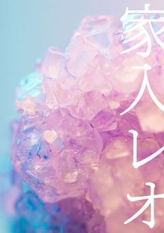家入レオを熱く語る作者