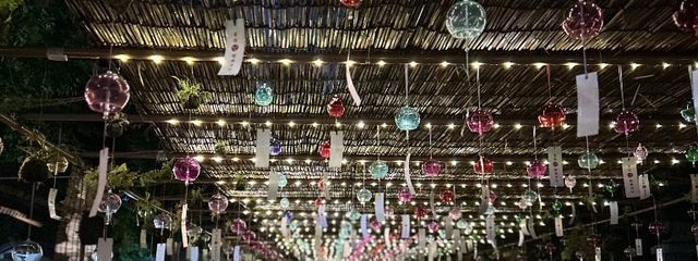 猫吉さんの壁紙画像