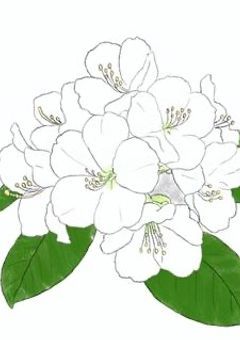 苦 手 な 幼 馴 染 に 嘘 コ ク し ま し た