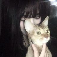 #   　 聖　那　。⭐️さんのアイコン画像