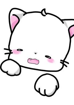 雑談するよ！！