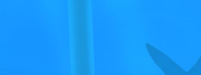 ぴぴさんの壁紙画像