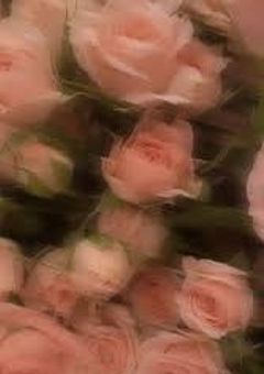 非凡な少女はオリジンを改変す。