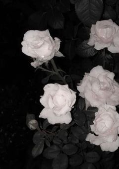 壊れたわたし。