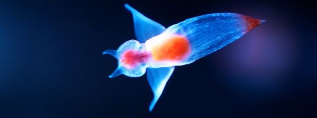 琉華🍈さんの壁紙画像