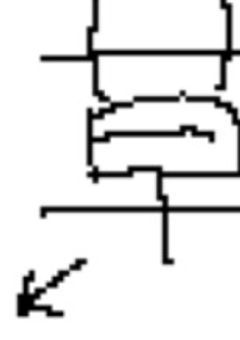 主の絵を晒そうー☆