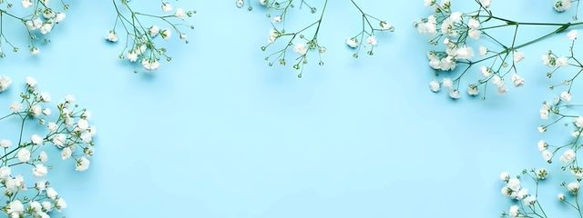 おさかなさんの壁紙画像