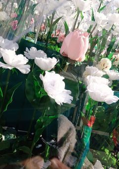 vOxg 短編集 【参加型】