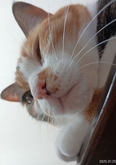 お相手様の専用部屋！！