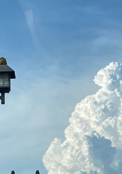 珠樹の雑談部屋                                 