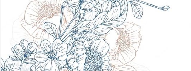 百合さんの壁紙画像