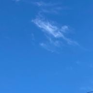 Leoさんのアイコン画像