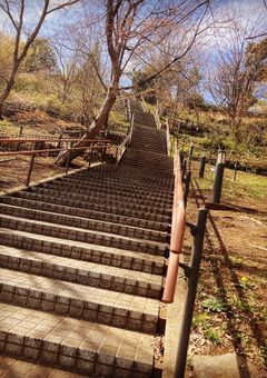 子犬を拾ったのかもしれない。〜子犬の名前は健くん〜