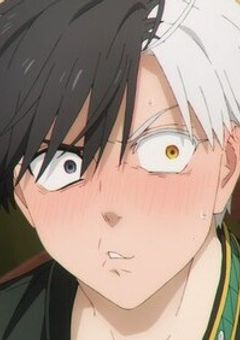 ︎✦︎ デレデレ夢主愛され中