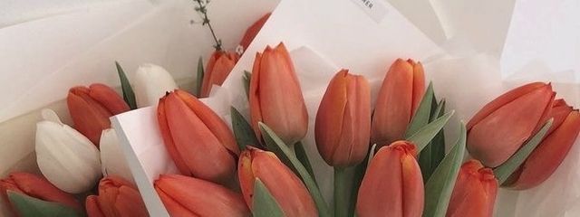 胡 桃 🌼さんの壁紙画像