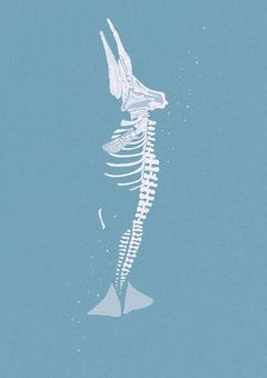 人魚の水族館［参加型］