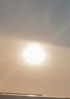 巻き込まれちゃうのネ