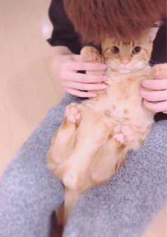 学校一のイケメンと学校一の陰キャ