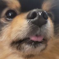 ビビットちゃんさんのアイコン画像