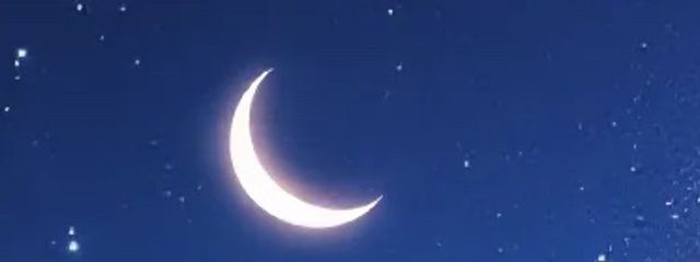 chocoさんの壁紙画像