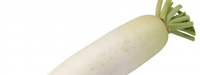 烬  @大根のような足さんの壁紙画像