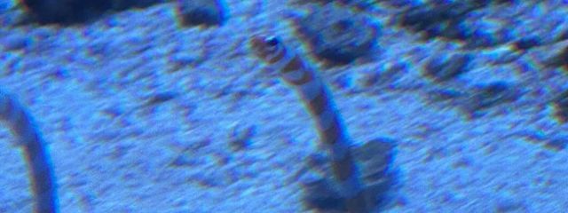 秋葉さんの壁紙画像