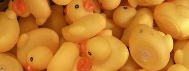 たぬき:&:さんの壁紙画像