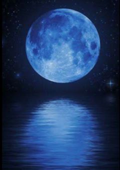 貴方さえ居れば_