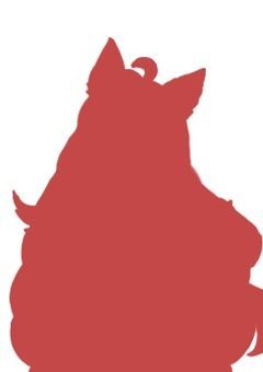 ⟡.·*狐さん、プリチュバーに挑戦の巻⟡.·*.