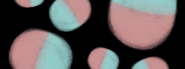 か ぷ せ る　💊さんの壁紙画像