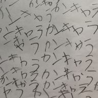 鳥。だったものさんのアイコン画像