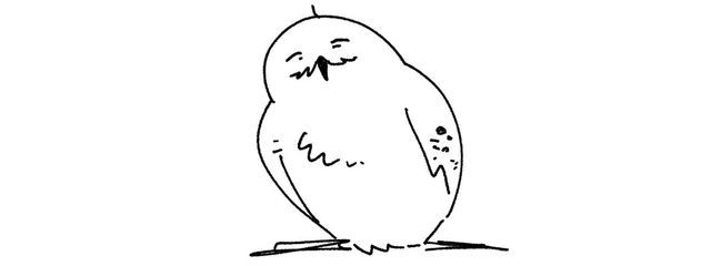 たこすけさんの壁紙画像