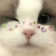 ＊＊＊さんのアイコン画像