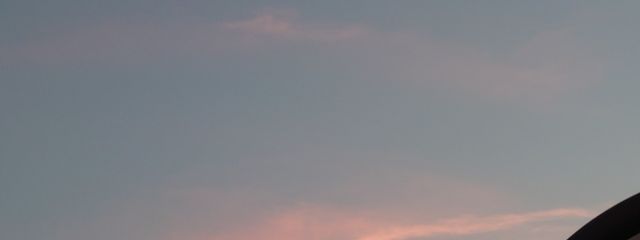 Beagleさんの壁紙画像