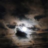 Beagleさんのアイコン画像