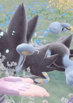 pkmn ZA 落書き