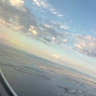 Yuna🐯さんのアイコン画像