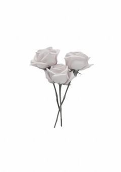 アイドルの君に恋をした