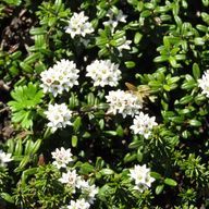 mbさんのアイコン画像