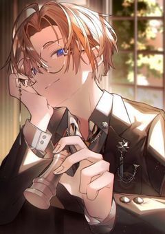 　　　シンデレラドール　(Njsj)