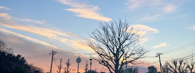 ひはちさんの壁紙画像
