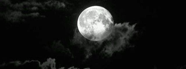 永眠剤モンスターさんの壁紙画像