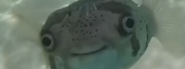 にゅさんの壁紙画像