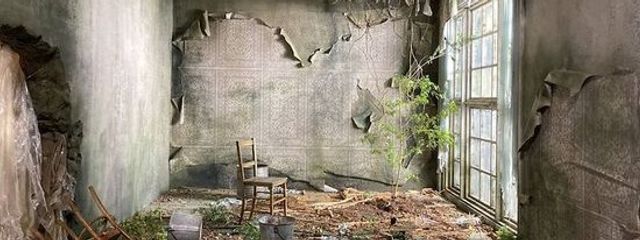 り〜ゆさんの壁紙画像