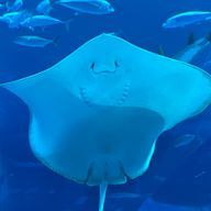 ちぃさんのアイコン画像