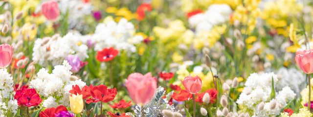 ononokomachiさんの壁紙画像