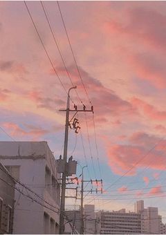 꽃잎（花ビラ）-지민-