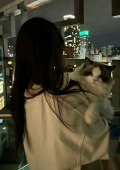 スノ 紅一点ちゃん🩵