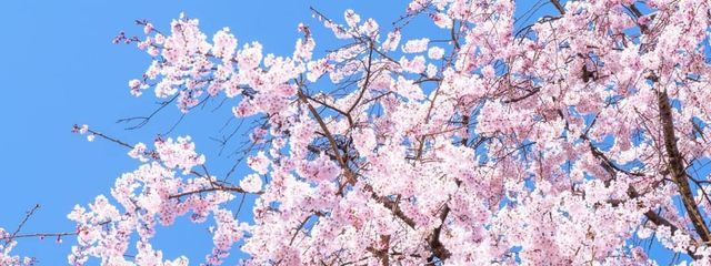 K.💎さんの壁紙画像